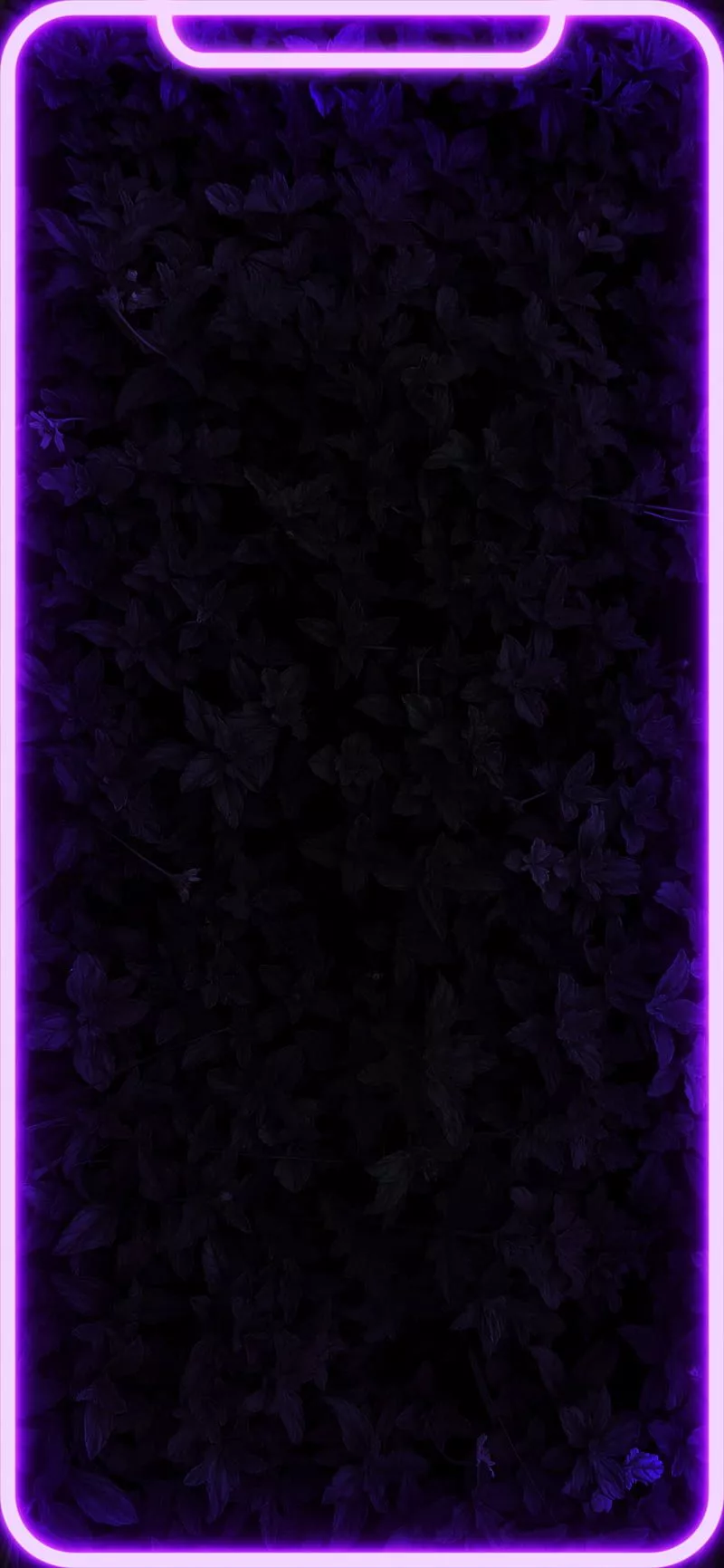 Purple Neon frame, frame, glow frame