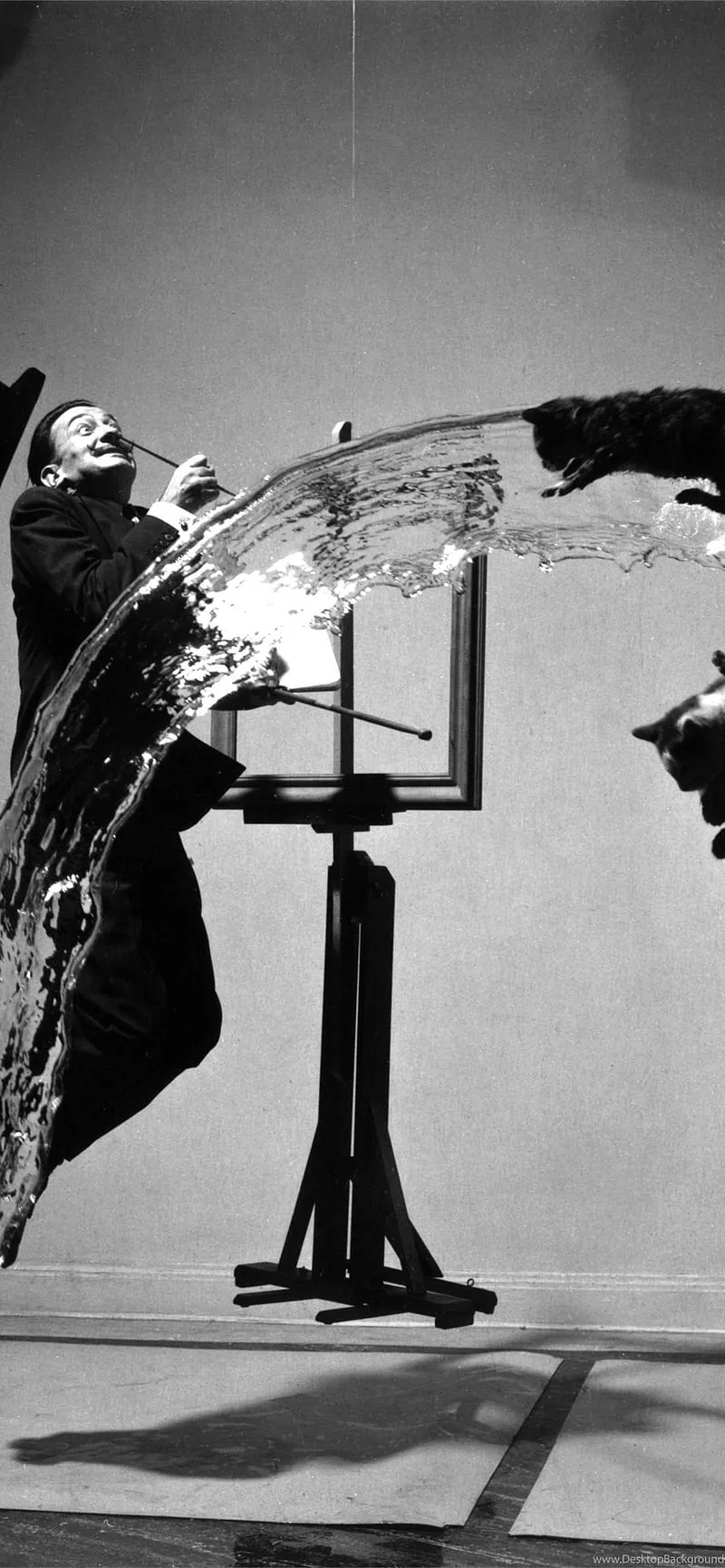 Best Salvador dali iPhone, Dali