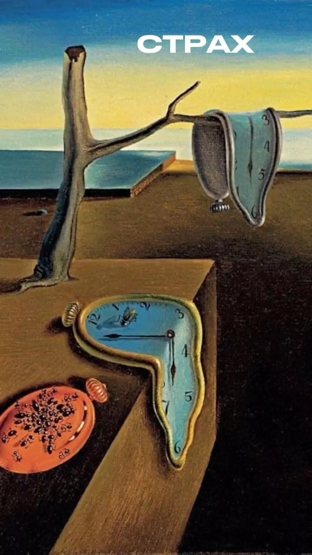 Gorgeous Vogue Covers