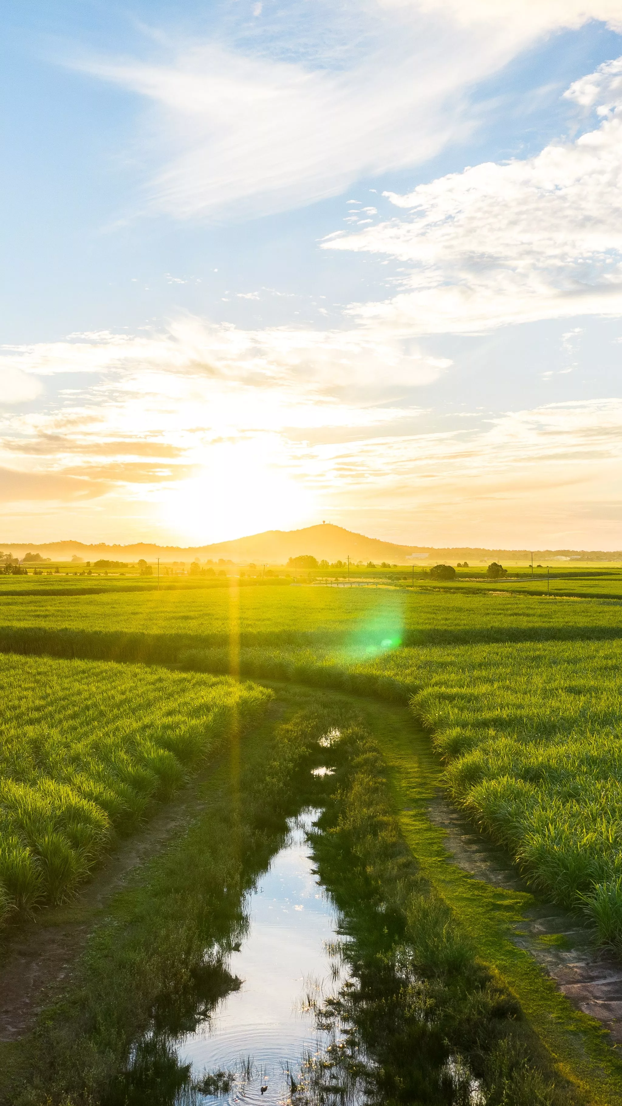 Sunlight Phone Wallpaper: Free 4K & HD Downloads