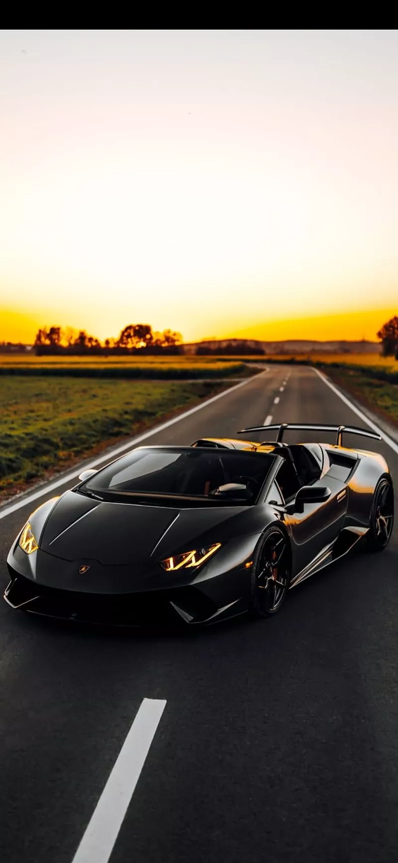 Sunset Bull, black, car, lamborghini