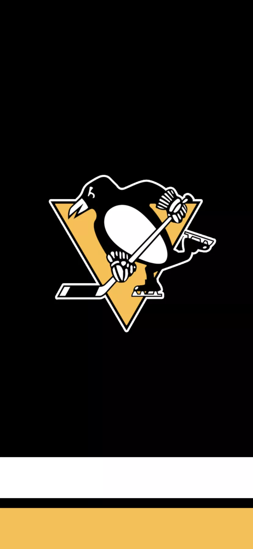 Pittsburgh penguins wallpaper, Nhl