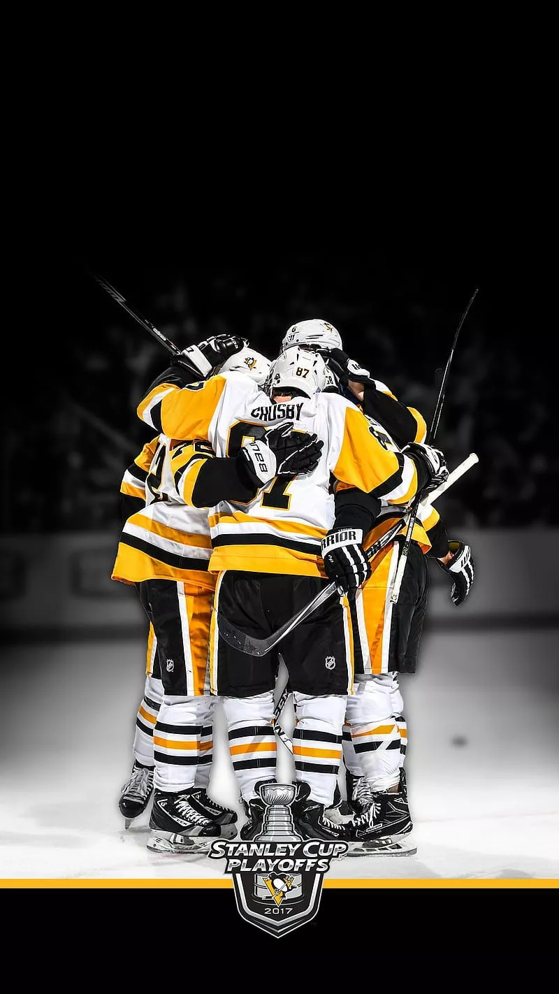 Pittsburgh penguins, 2017, champions