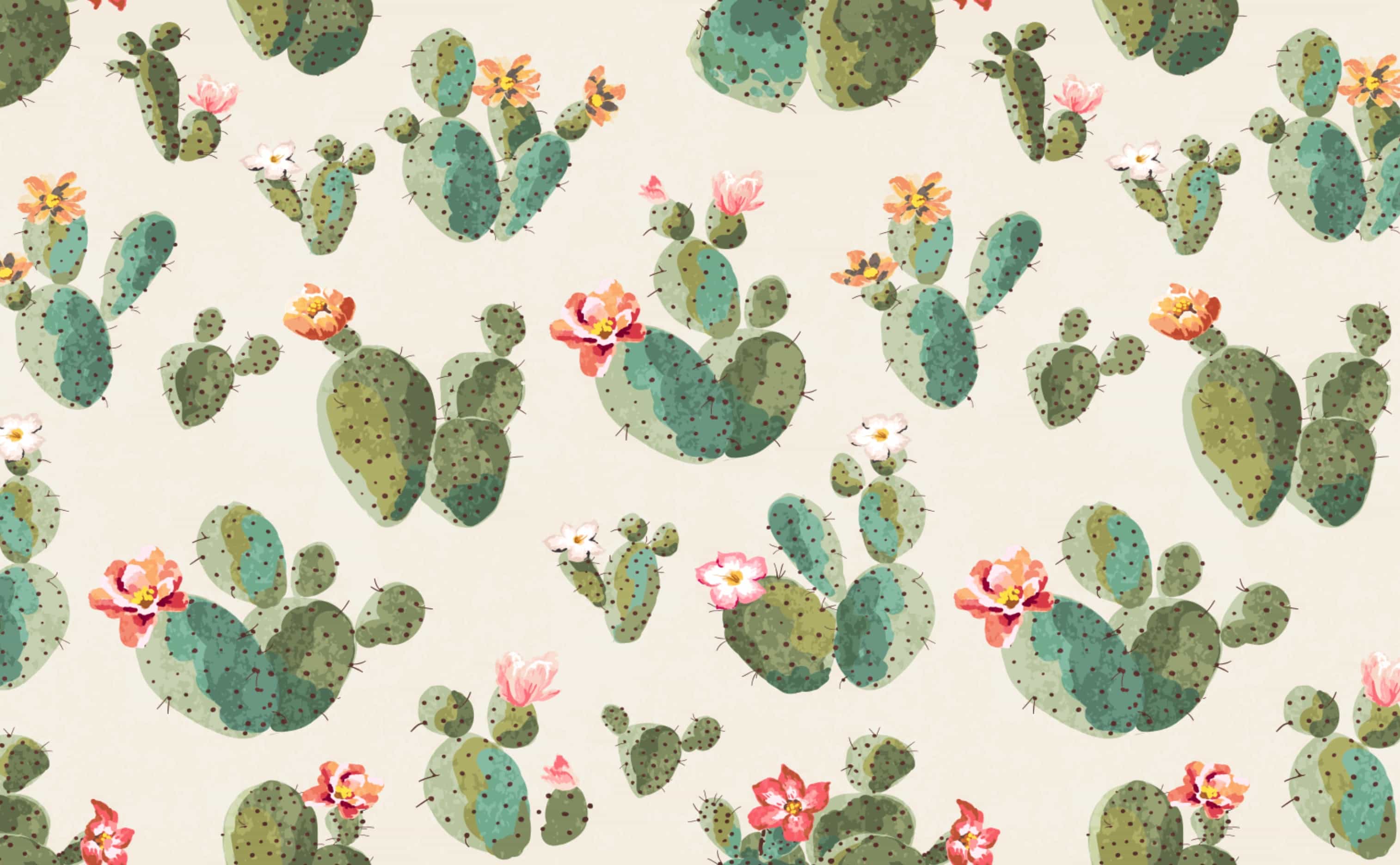 Cactus Plants Wallpaper for Walls