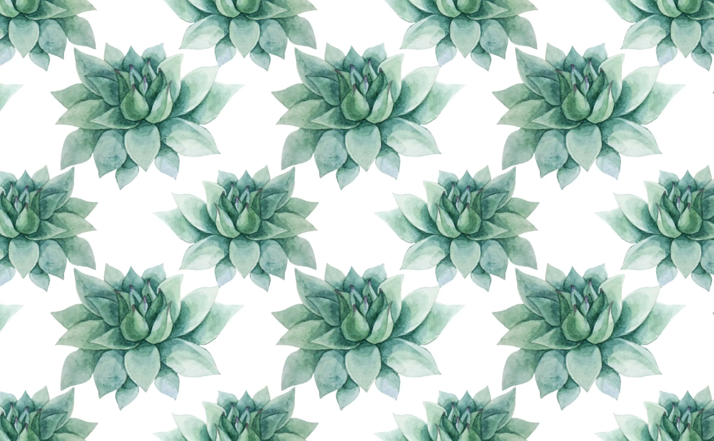Seamless blue green echeveria succulent