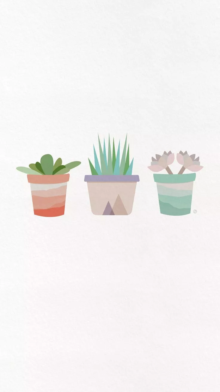 Free Desktop Wallpaper: Succulents