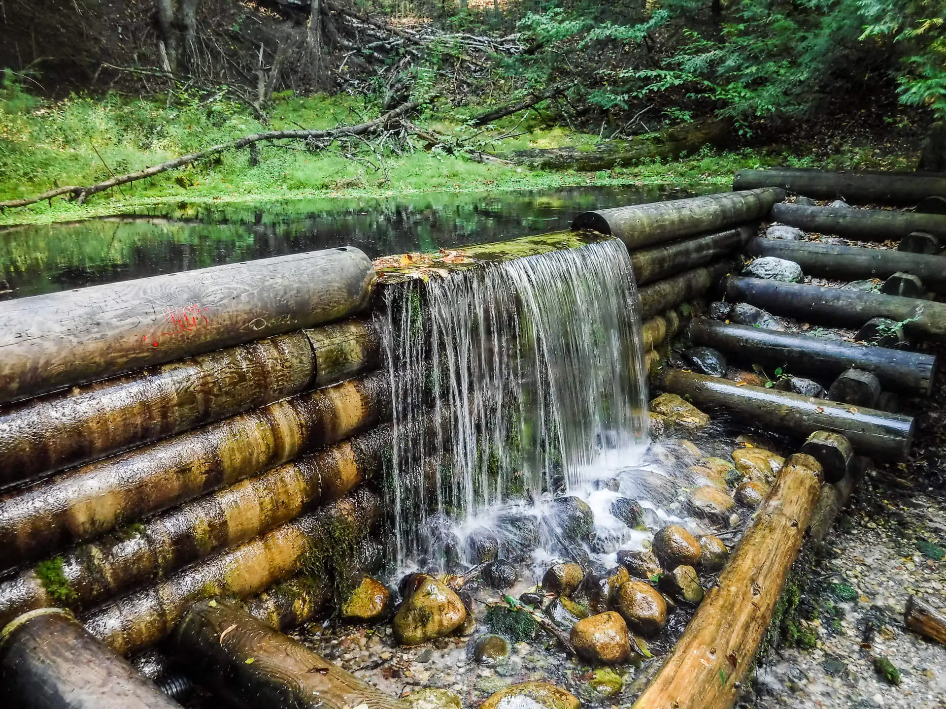 Lake Huron (Mostly) trip