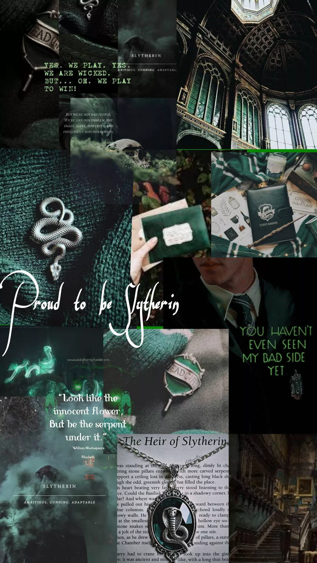 Aesthetic Harry Potter Proud Slytherin