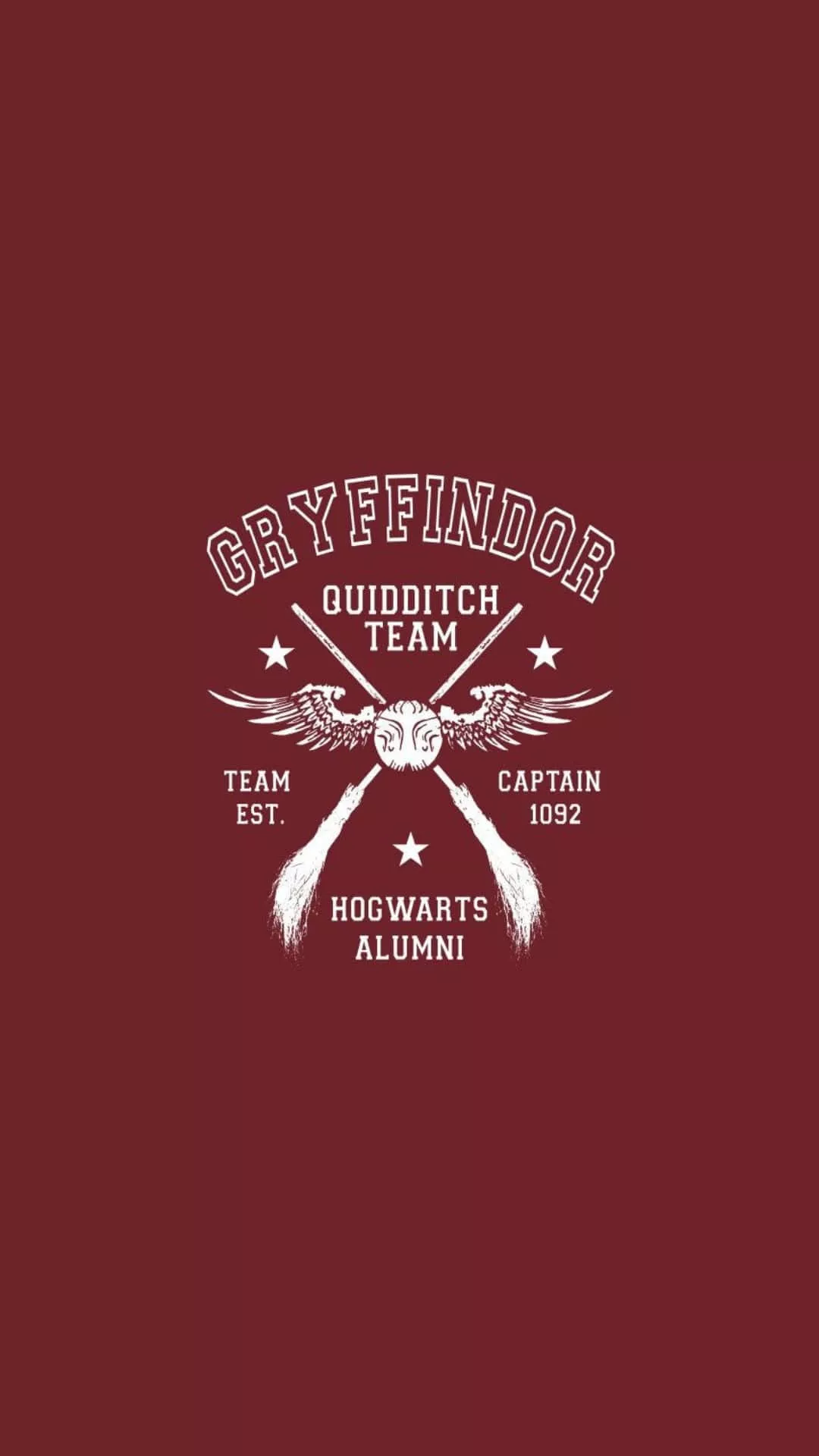 Download Gryffindor Quidditch Team