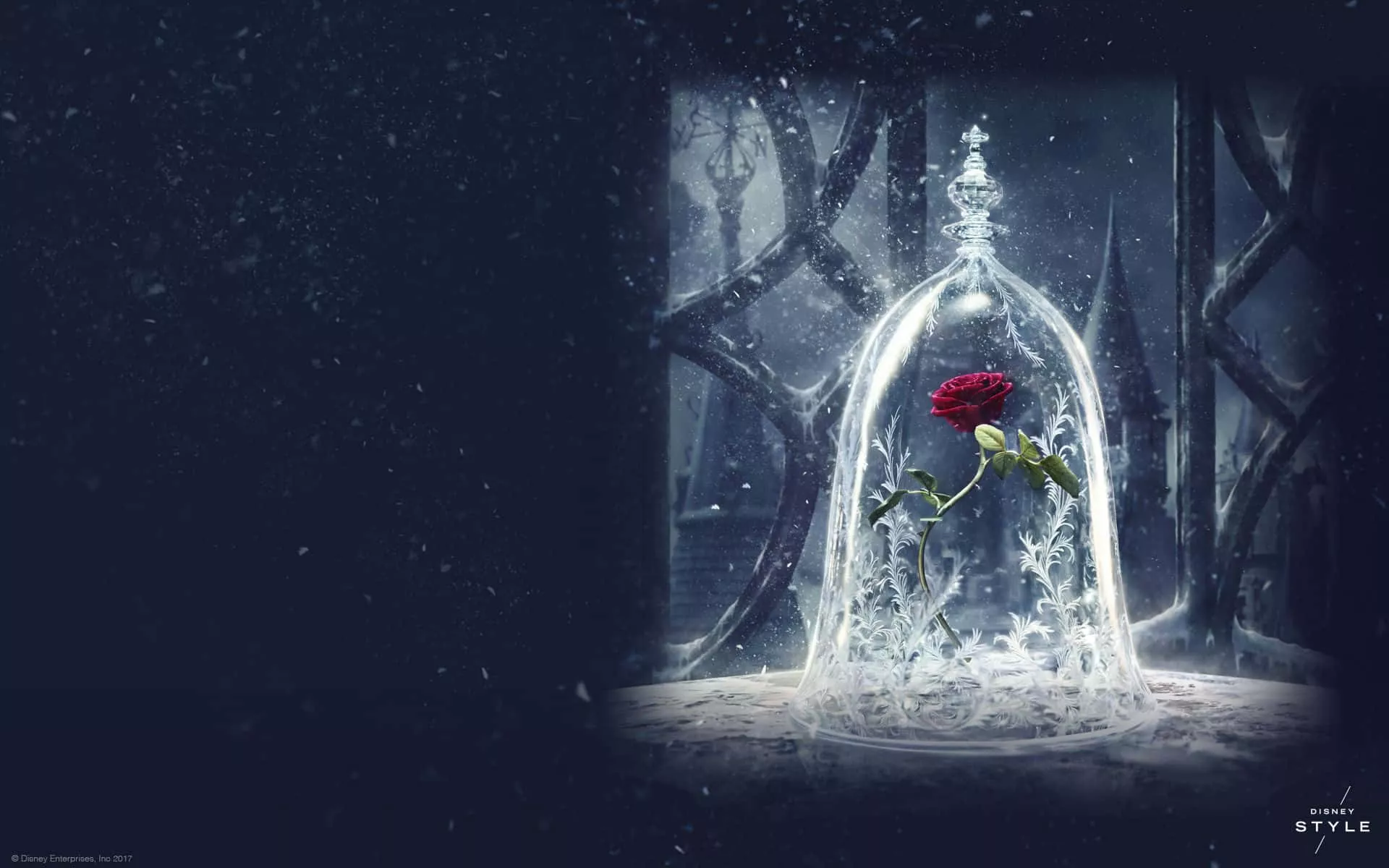 Beauty And The Beast Background