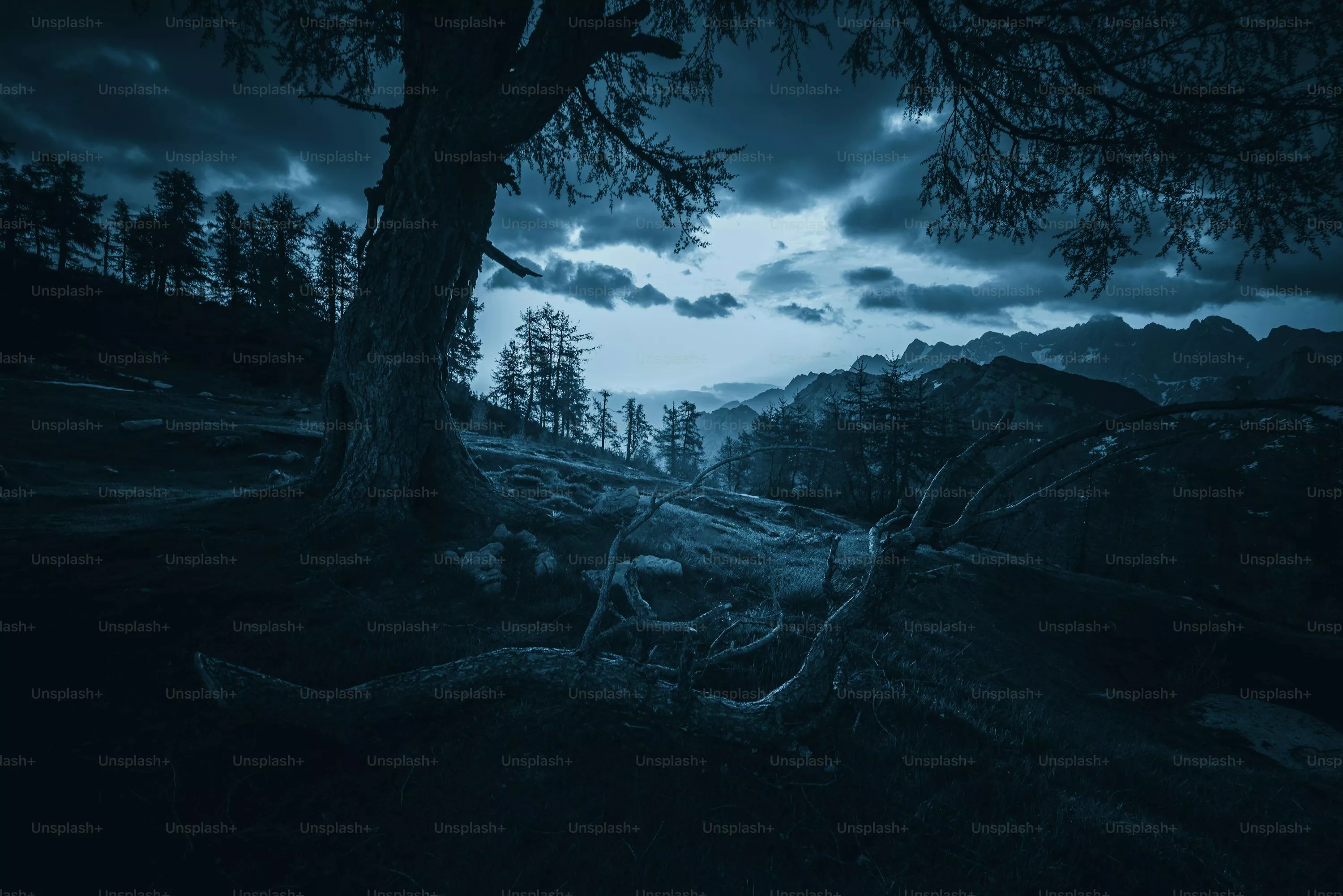 Black And Blue Background Picture