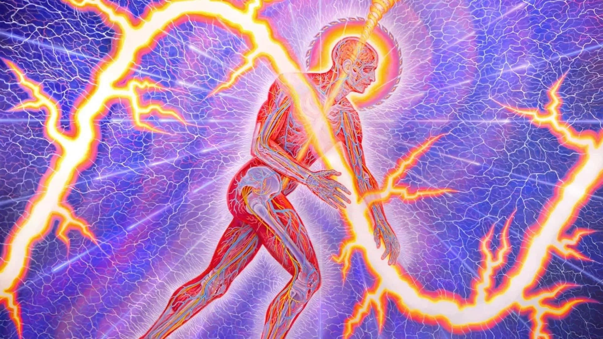 by Visionary Artist Alex Grey Wallpaper