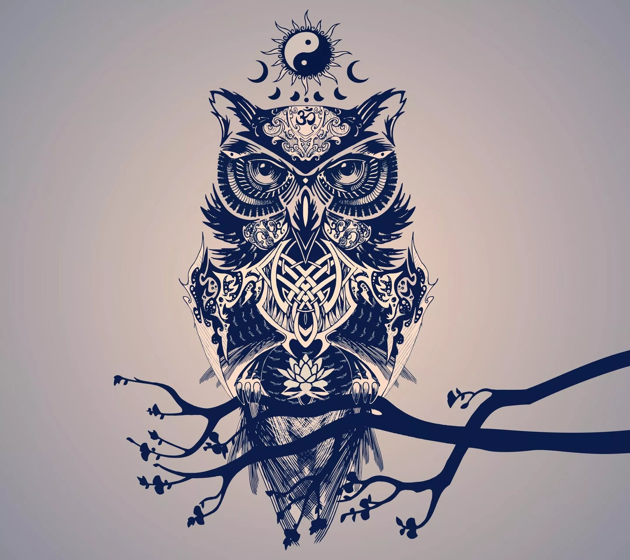 Perfect owl [2160x1920]