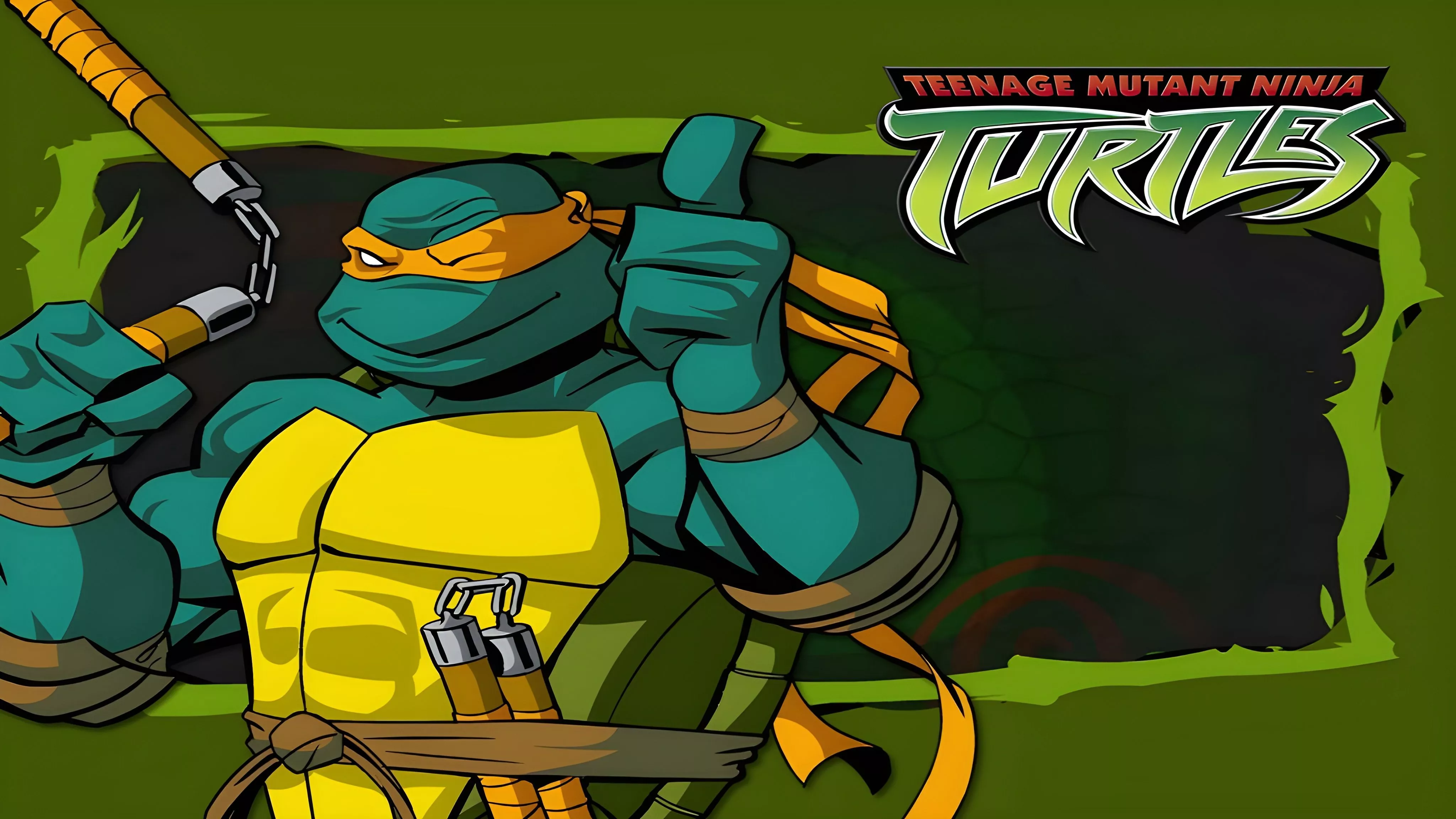 Green Turtle Ninja Michelangelo TMNT