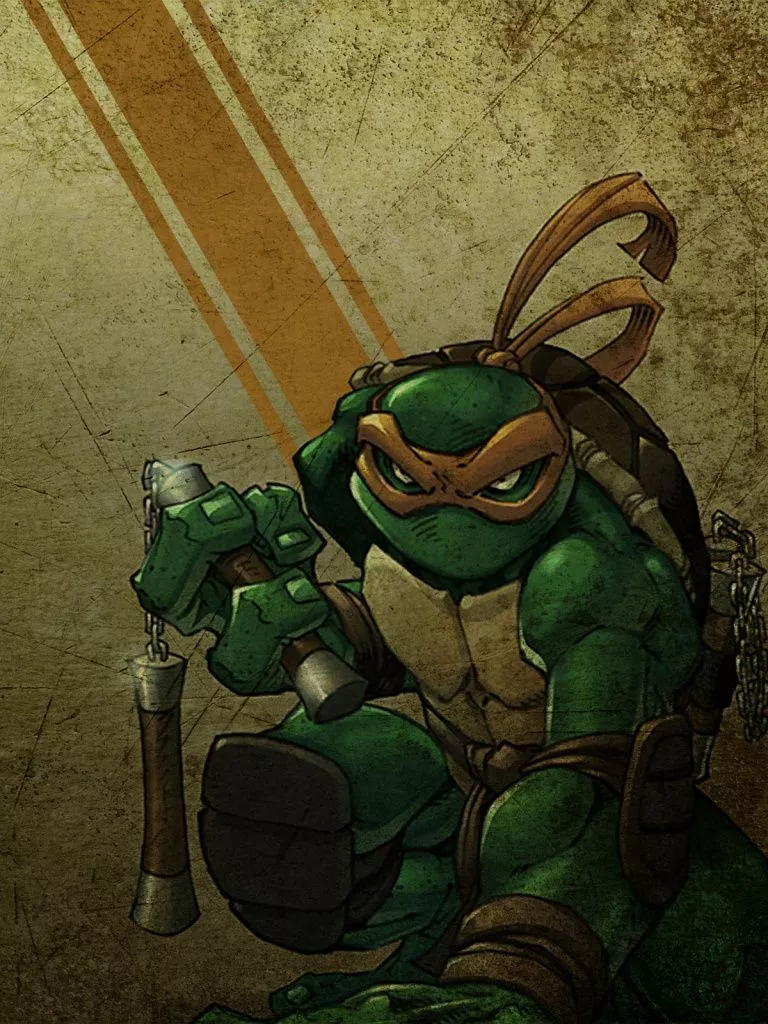 Michelangelo Teenage Mutant Ninja