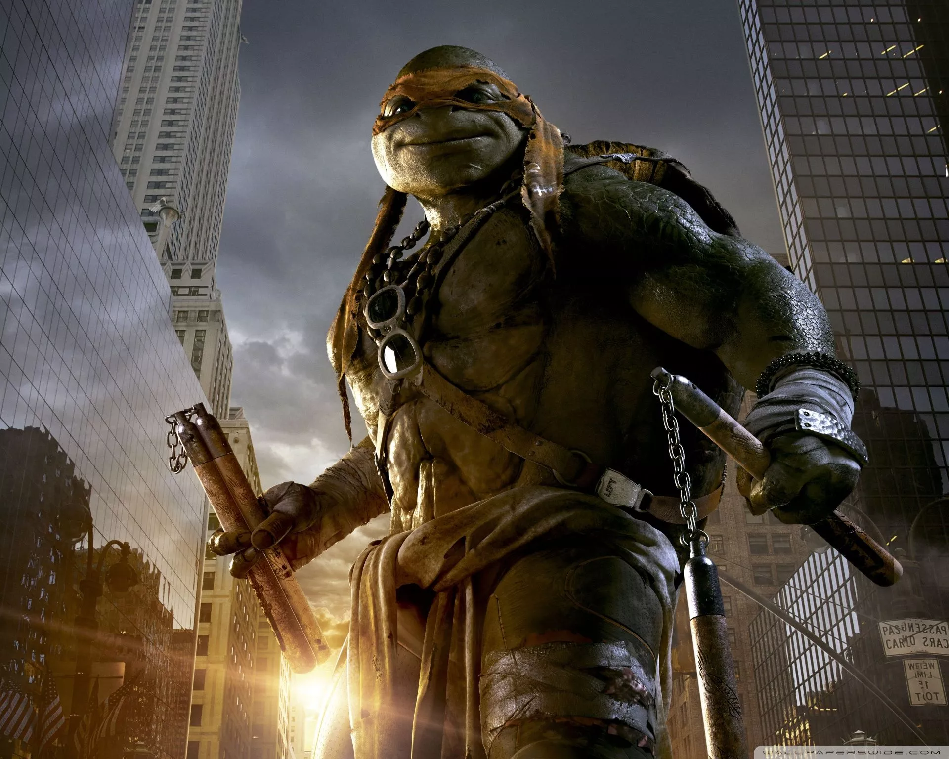 Teenage Mutant Ninja Turtles 2014 Movie