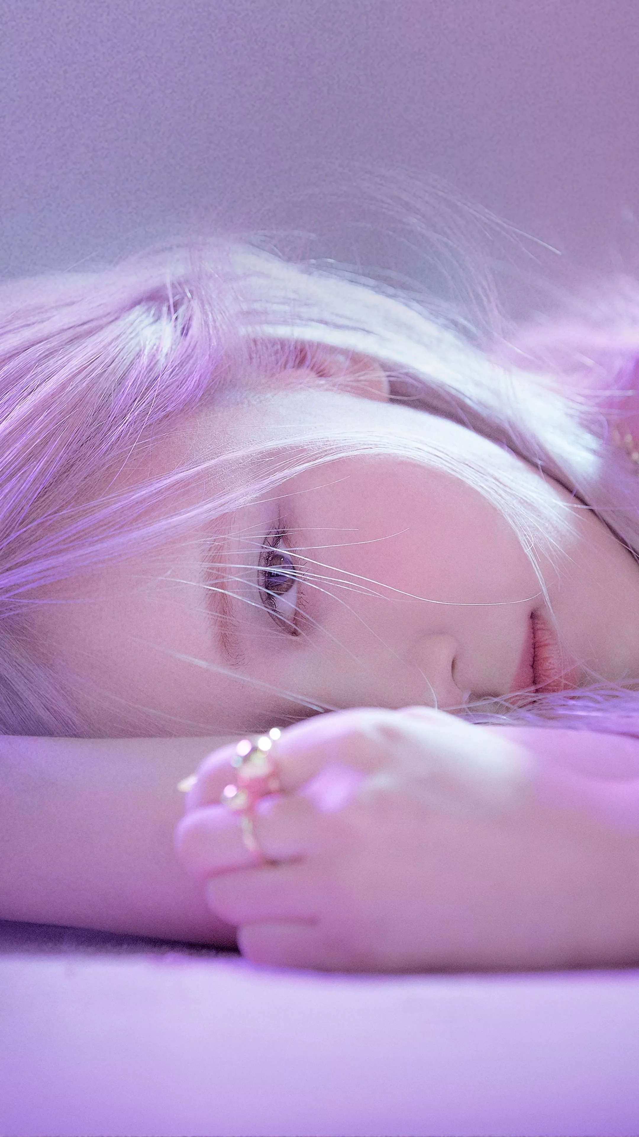 Rose On The Ground Album Cover 4K Wallpaper