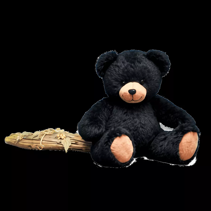 Download Black Teddy Bear Png 11