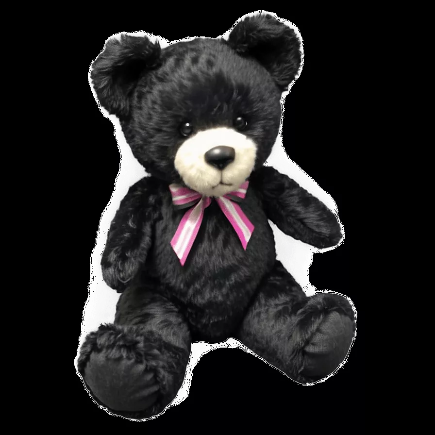 Download Black Teddy Bear Png Scl