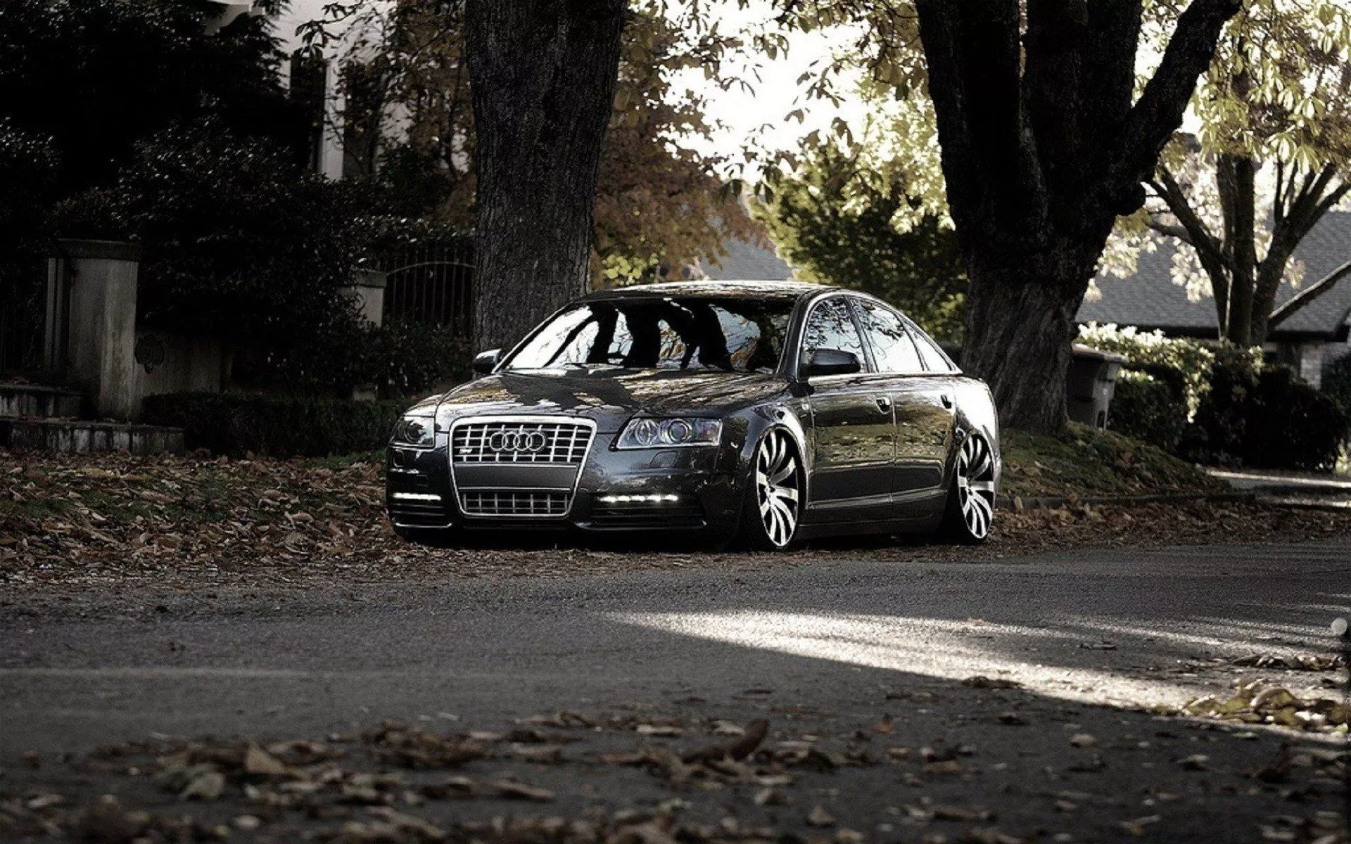 Download Vehicle Audi HD Wallpaper