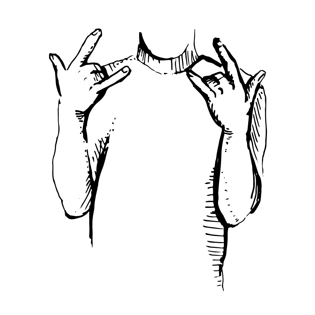 Isibindi RCA House System