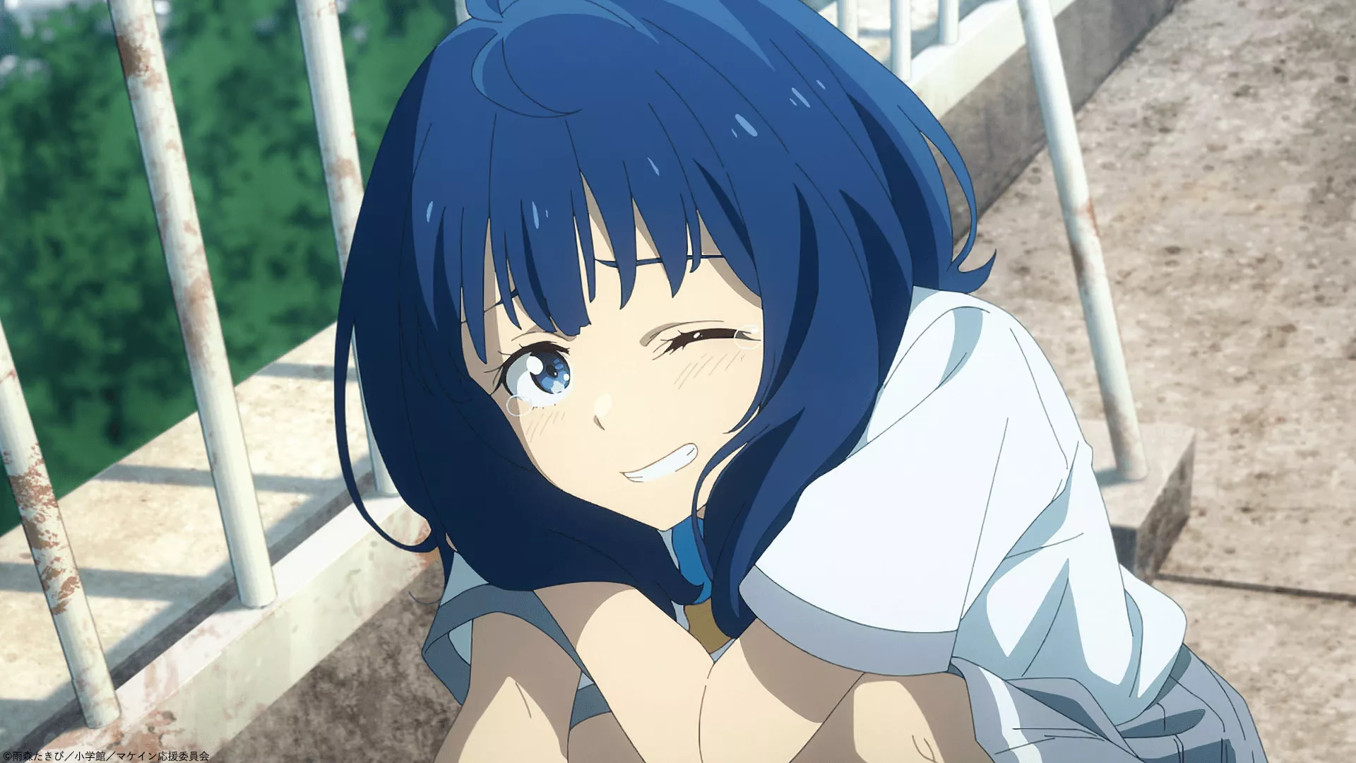 HD Wallpaper: Anna Yanami from Too Many