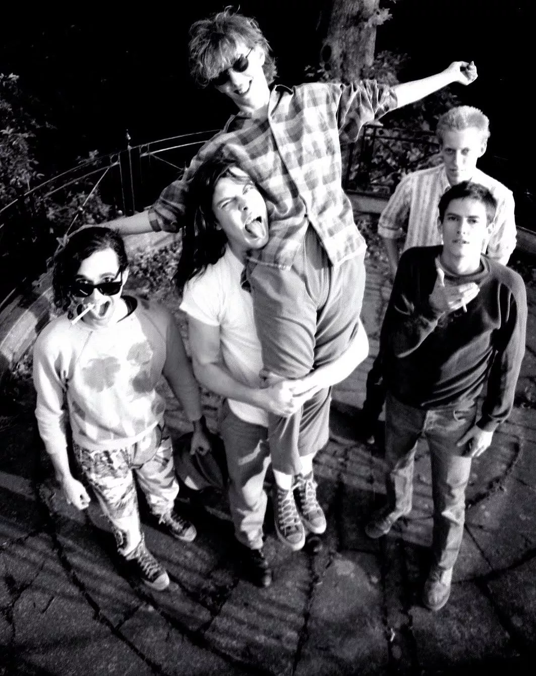 The Birds Are Dying'