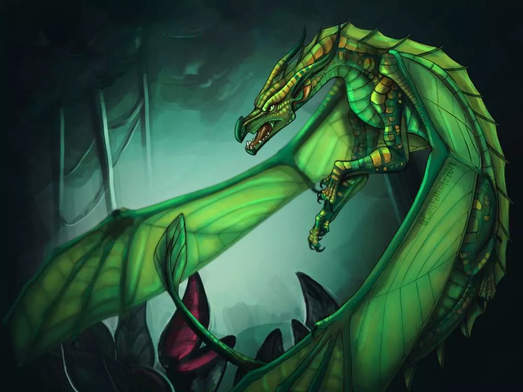 Sundew :). Wings Of Fire Amino