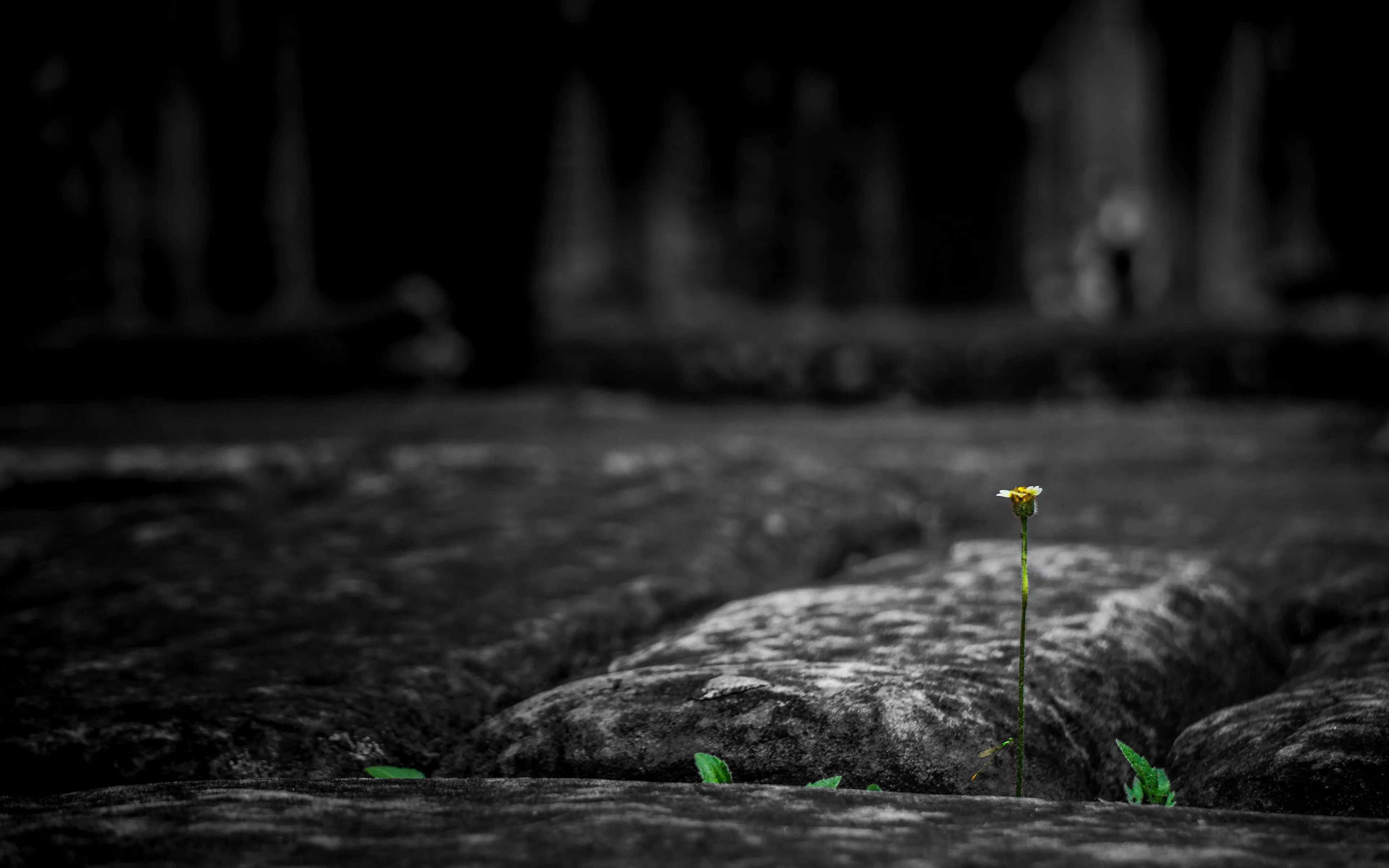 Download wallpaper 3840x2400 stone