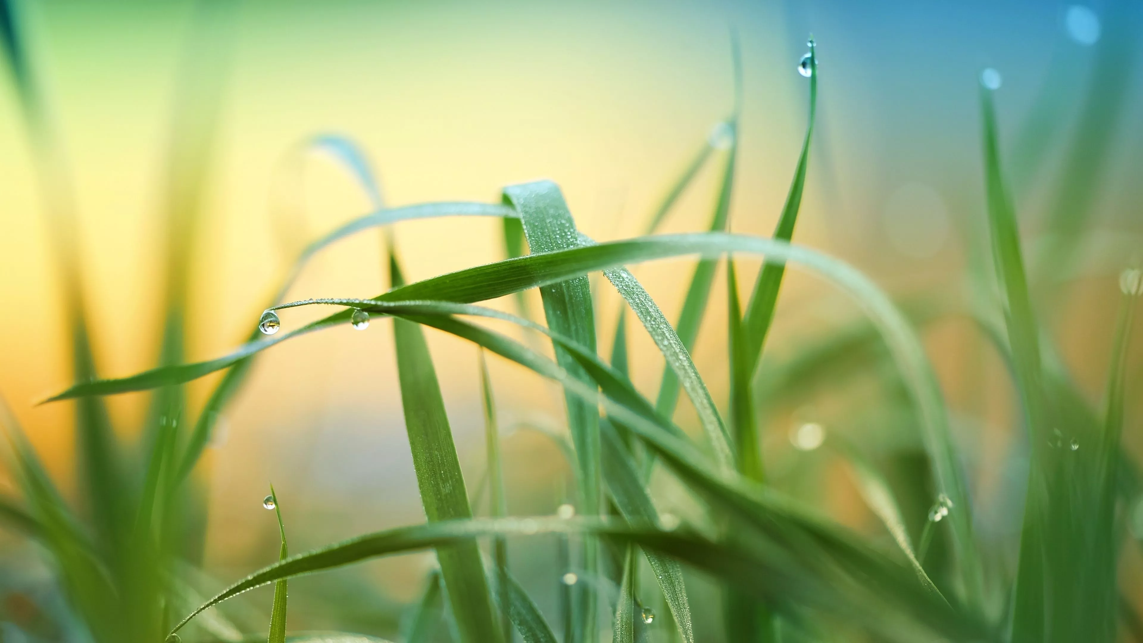 Download wallpaper 3840x2160 drops