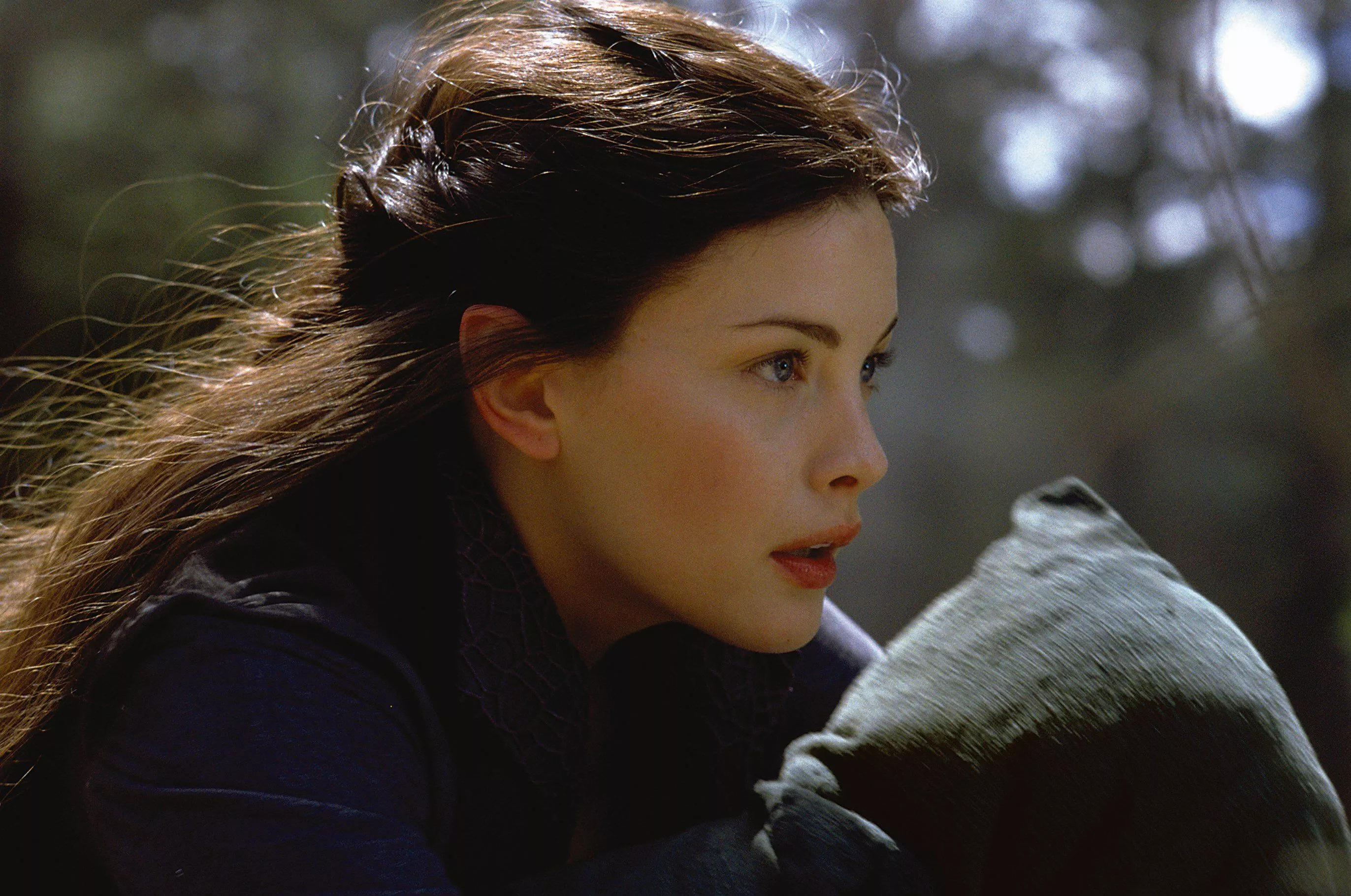 Download Liv Tyler Arwen Evenstar Movie