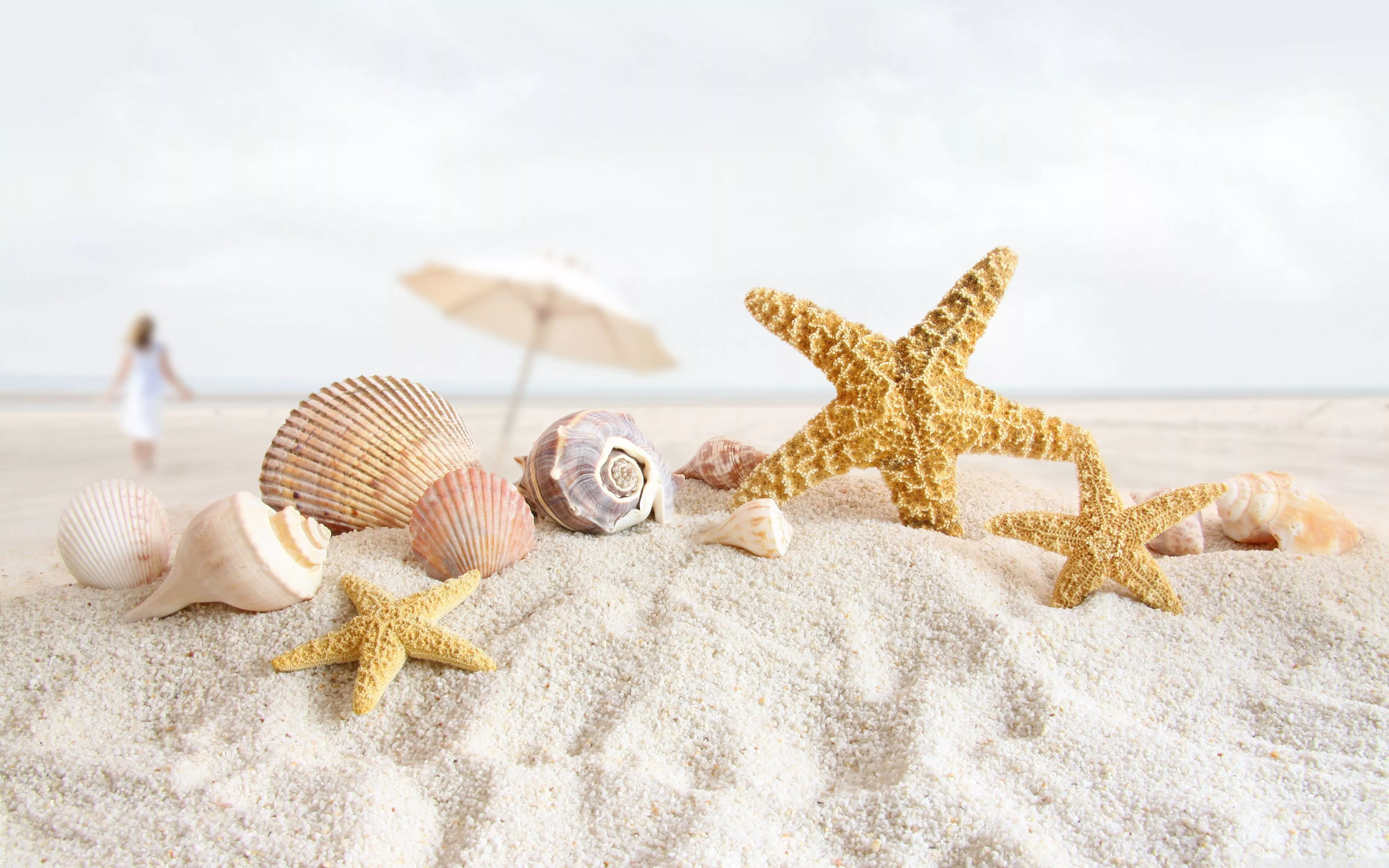 Beach Ultra HD Wallpaper for 4K UHD TV