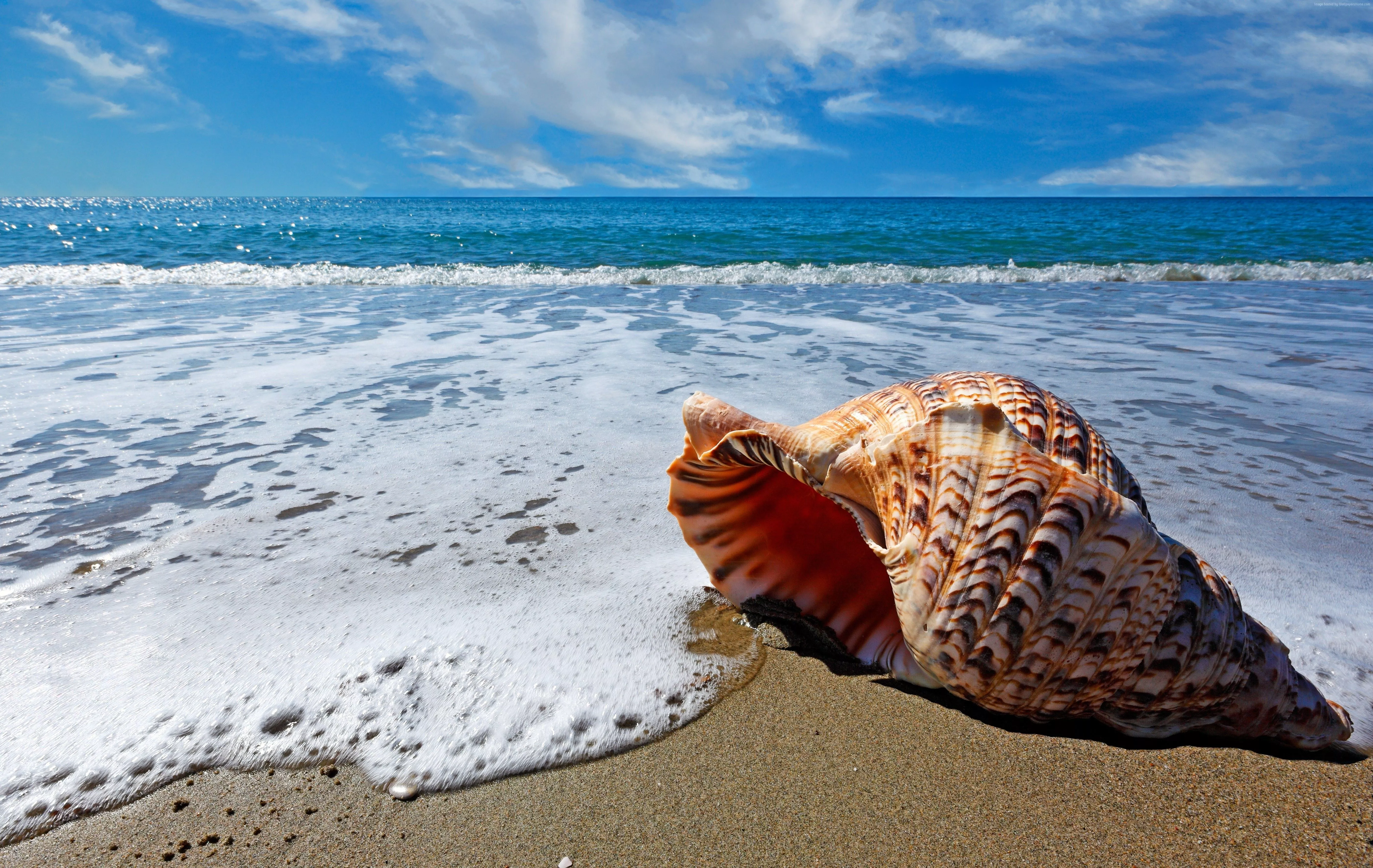 Ocean Wallpaper, Shore, Nature