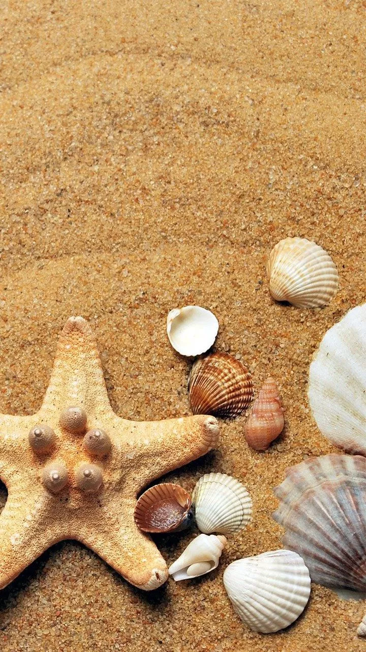 beautiful Ocean Wallpaper