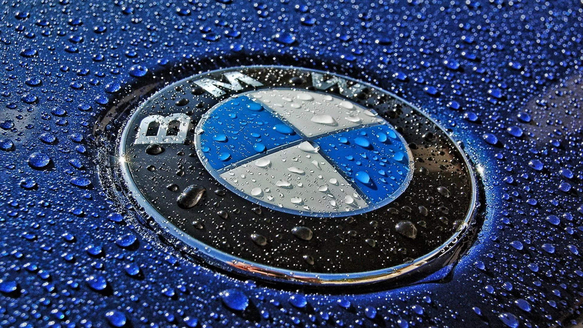Stunning HD Wallpaper of a BMW Logo with Raindrops