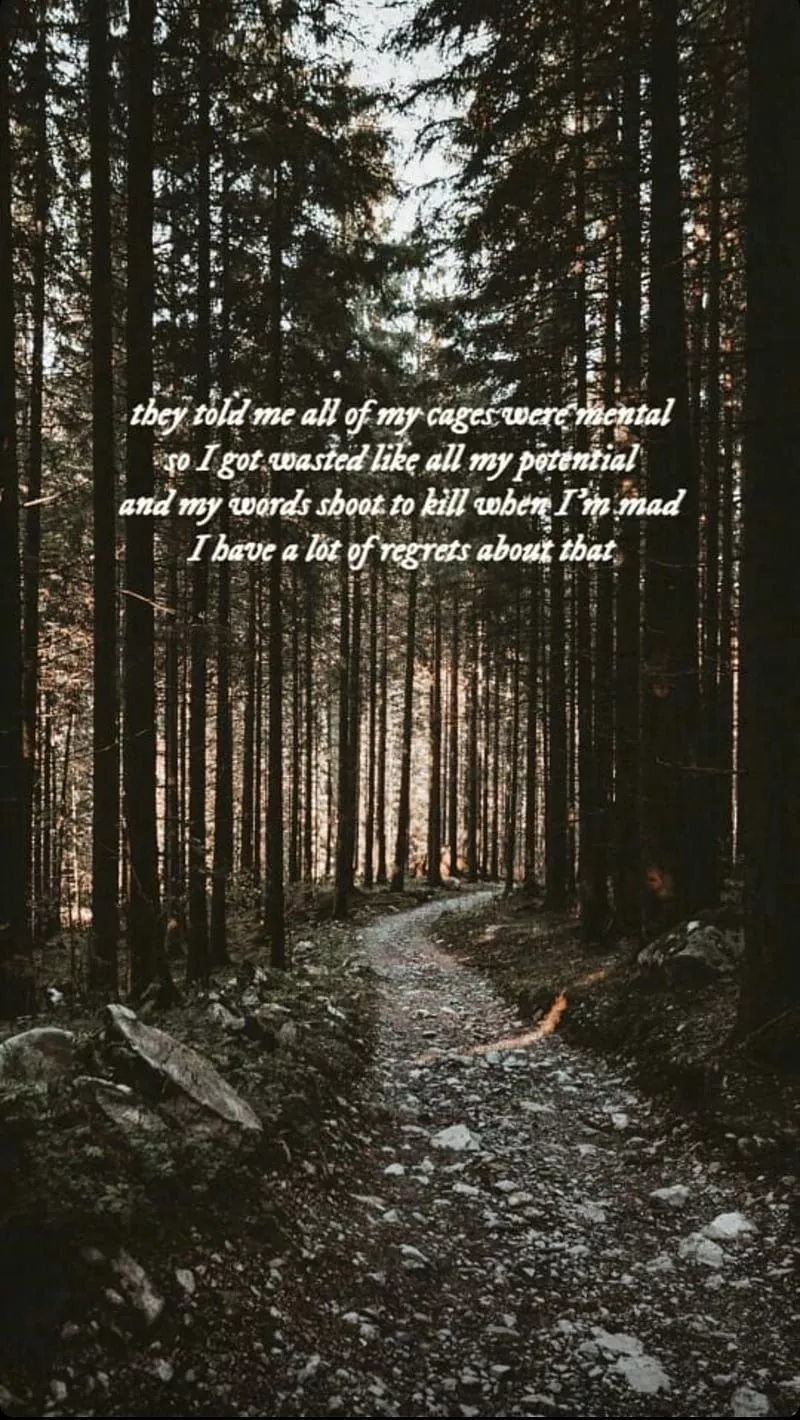 HD taylor swift speak now wallpaper