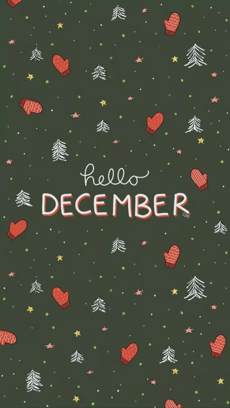 Cute Christmas iPhone Hello December
