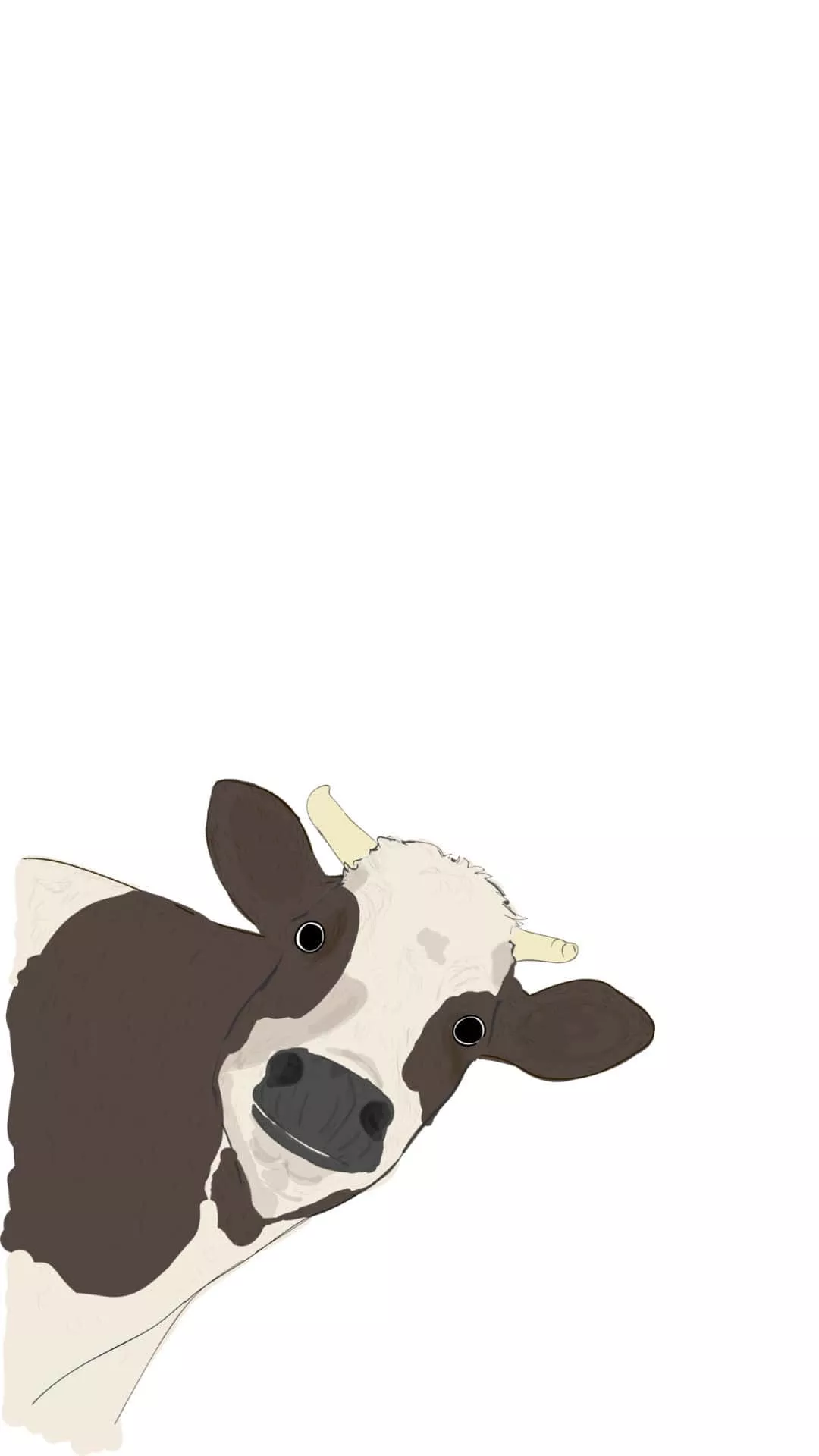 Download A Cow Is Looking Up Wallpaper