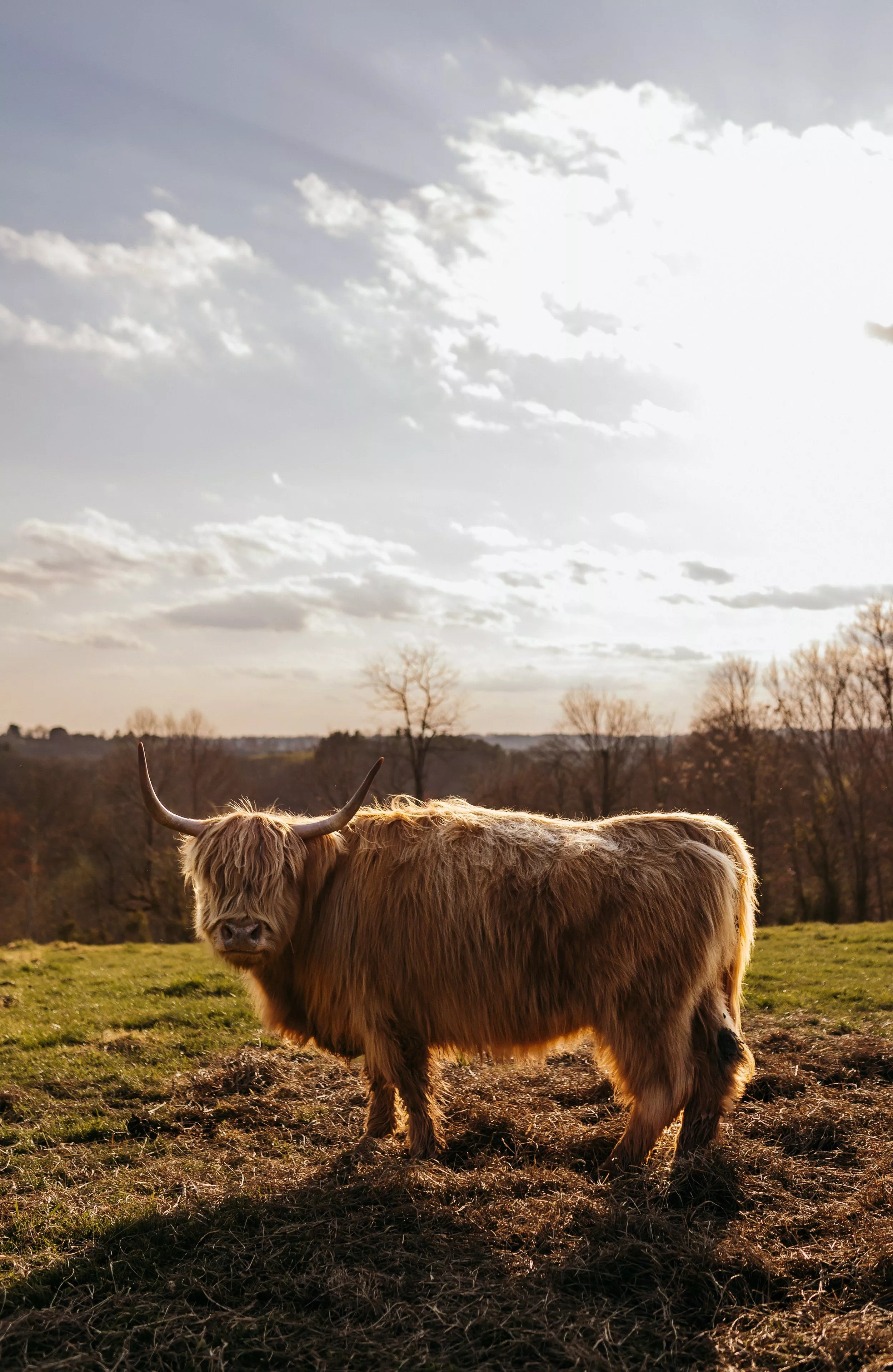 Friends of Erb'n Roots