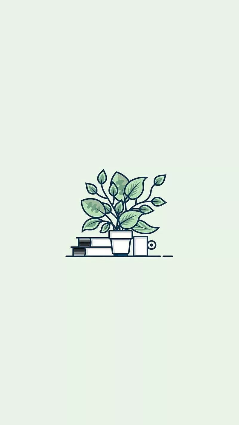 Cute Aesthetic Plant, Simple Plant