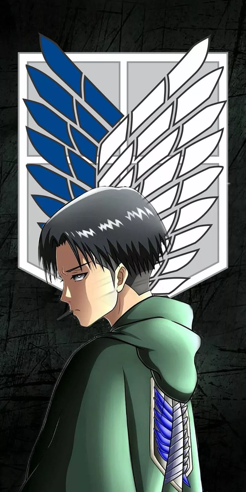 Attack on titan levi, attack on titan