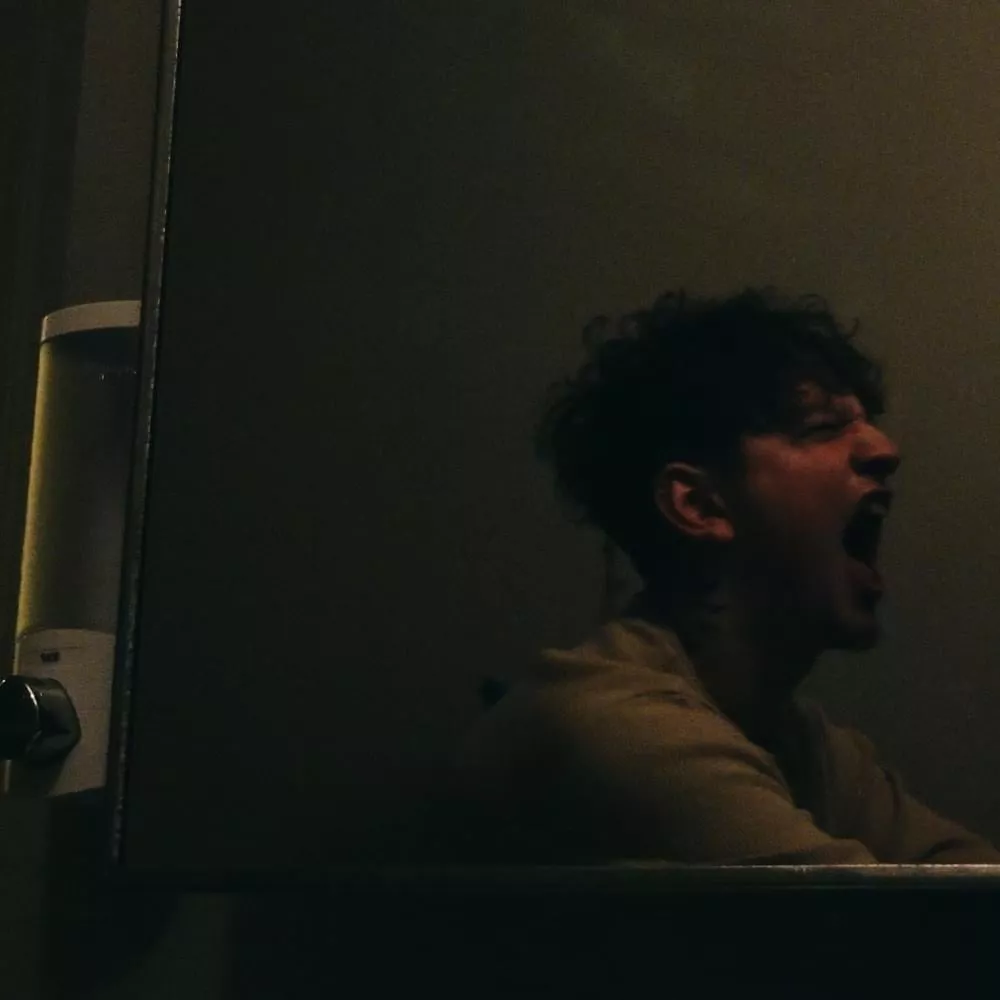 Shaya Zamora Lyrics, Songs, and Albums