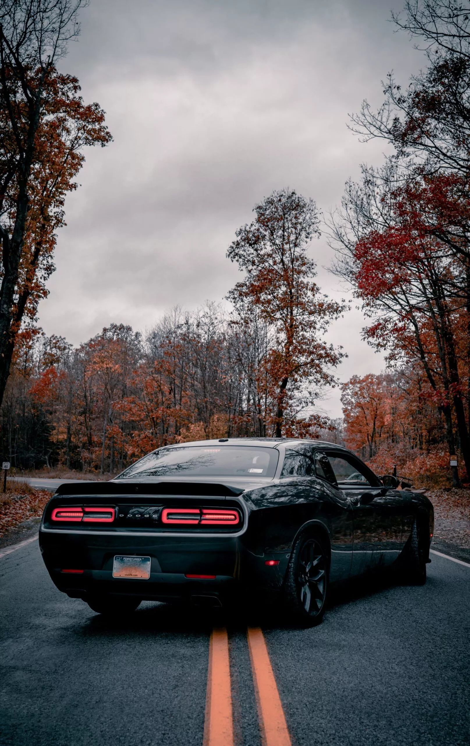 Dodge Challenger Wallpaper