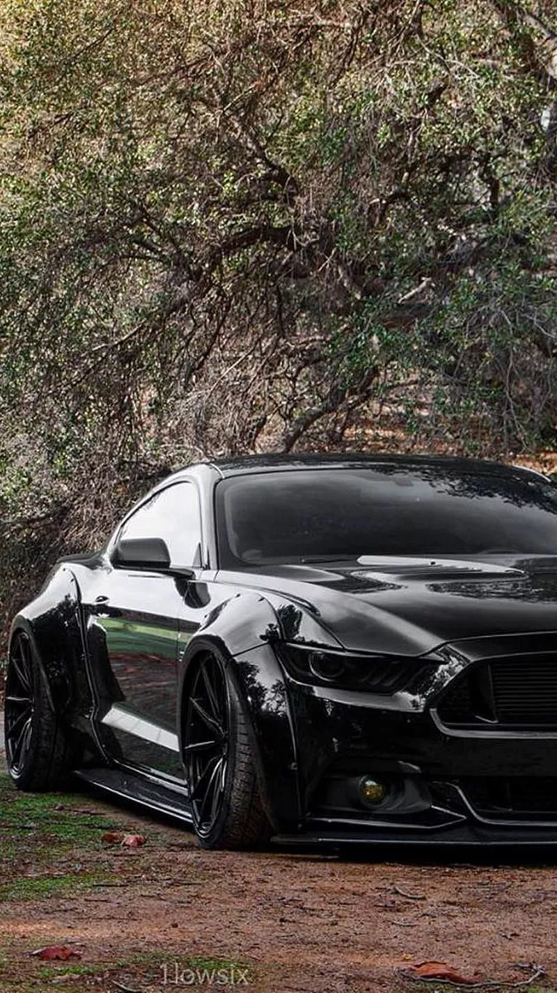 HD the beast mustang wallpaper