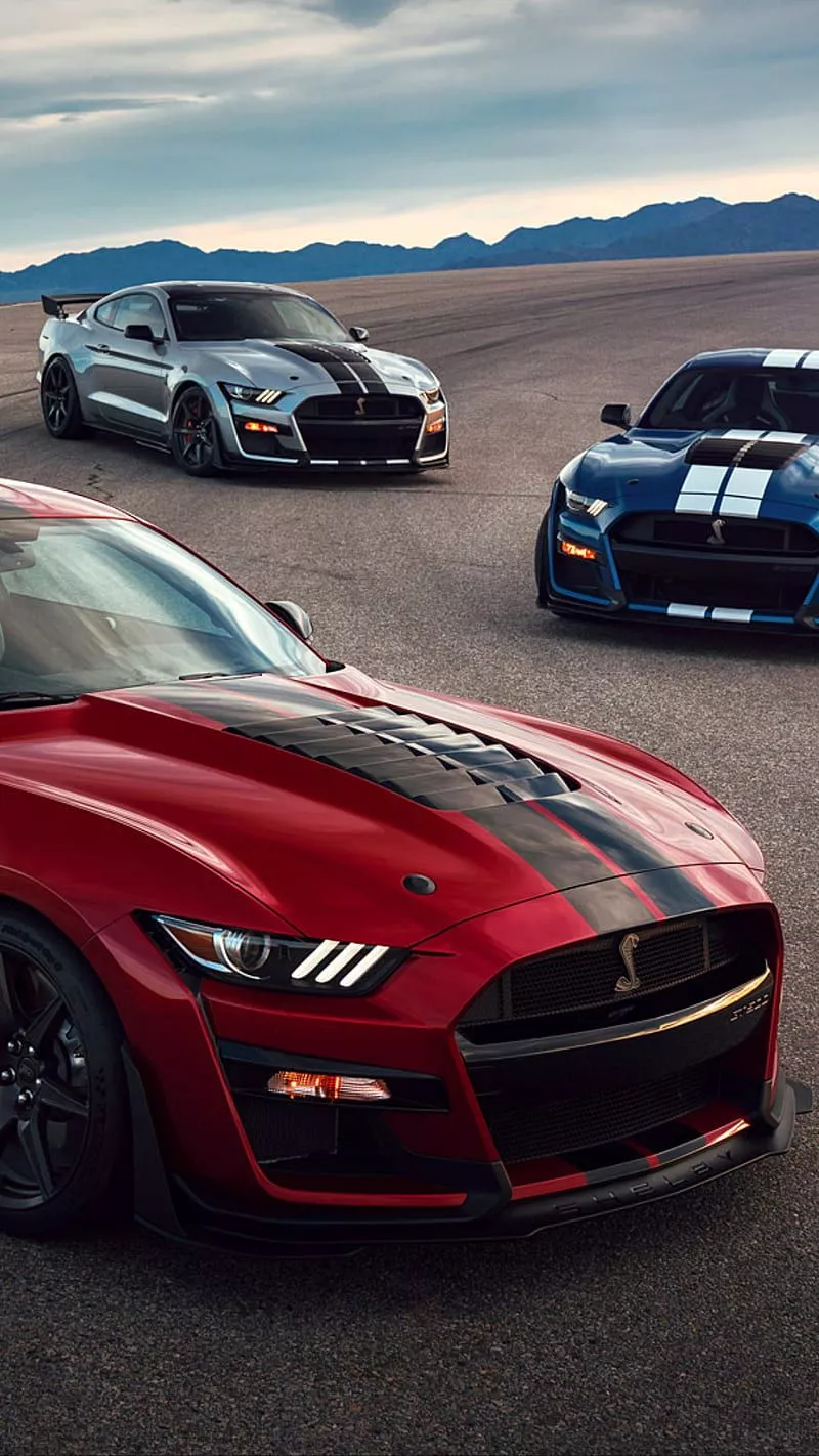 Mustang GT500, shelby, car, supercar