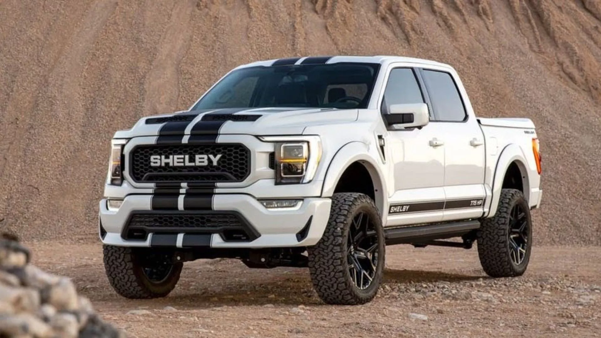 FORD F150 SHELBY