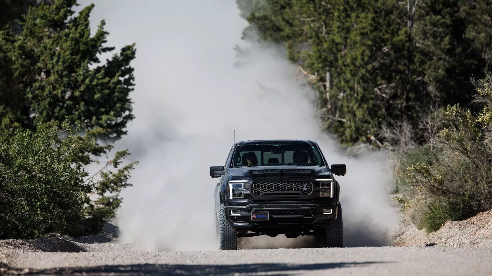 2024 Ford Shelby F 150 Rolls In With Up