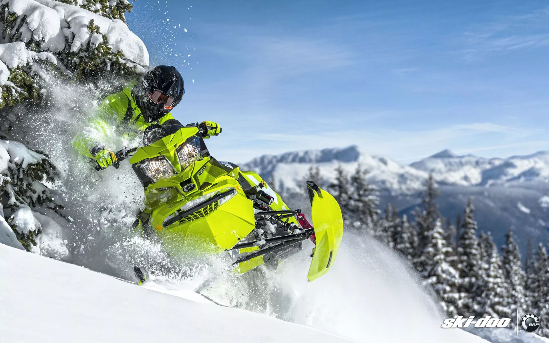 Wallpaper snow, tree, green, snowmobile
