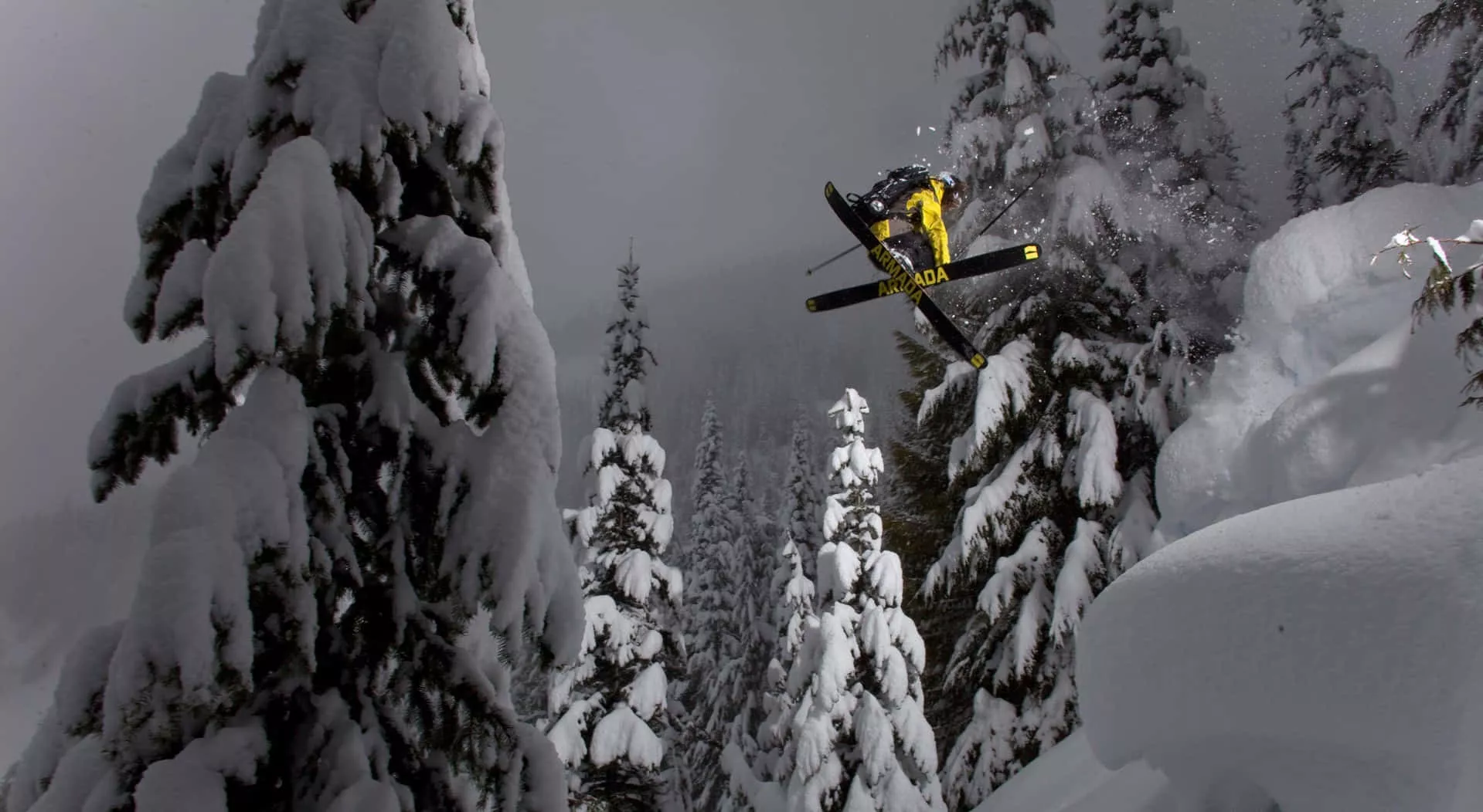 Download Skiing in a Winter Wonderland