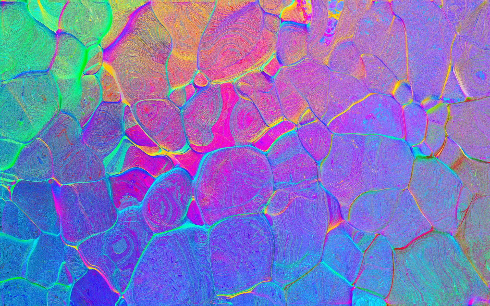 Iridescent Cells Microsoft Windows 10